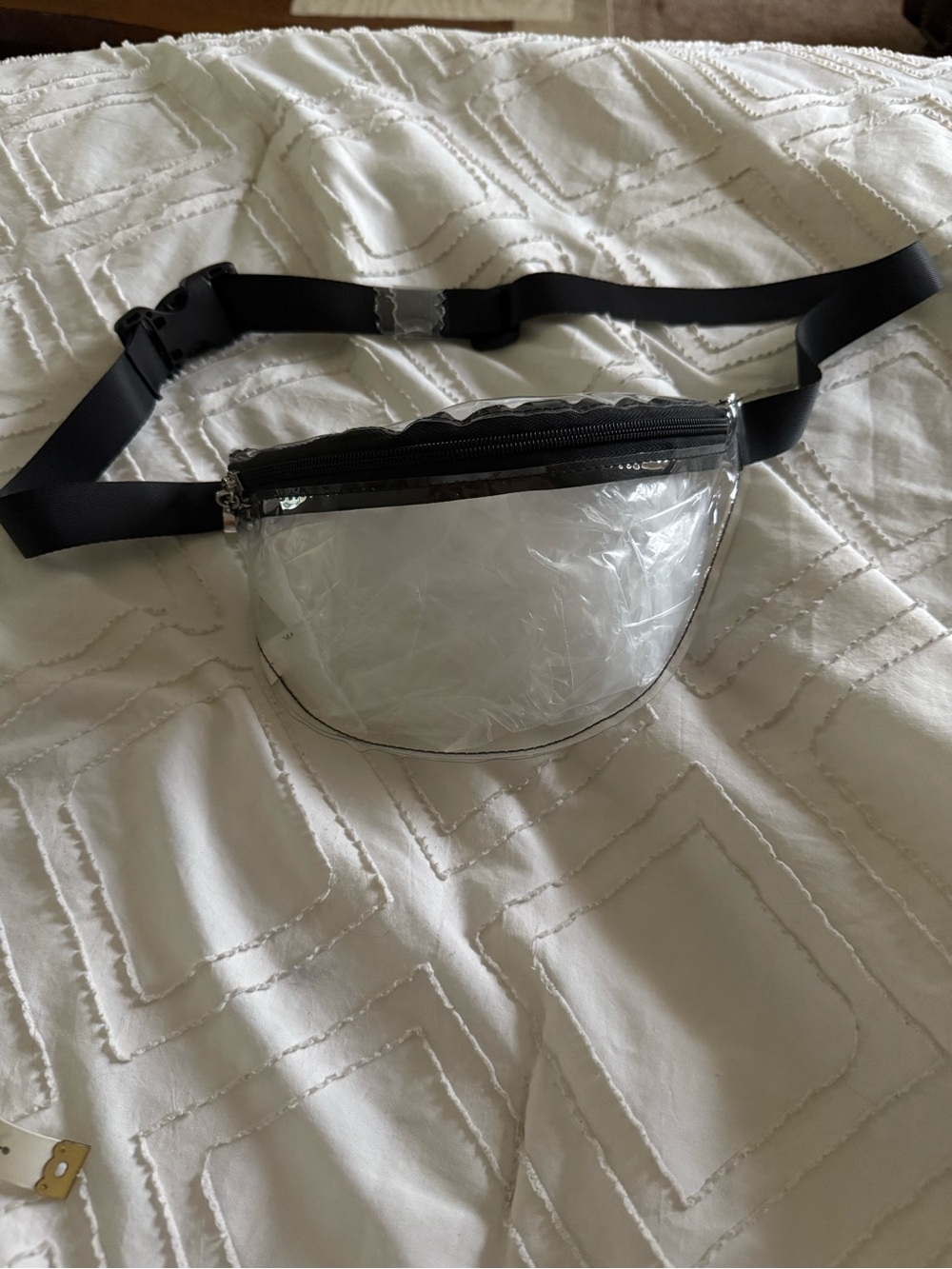 Clear PVC Mini Belt Bag with Black Strap